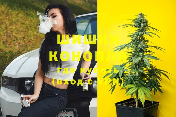 трава Абаза