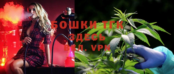 стаф Абинск