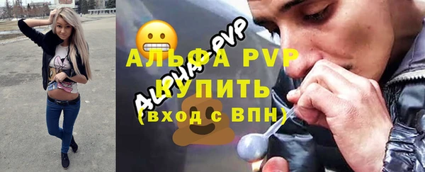 стаф Абинск