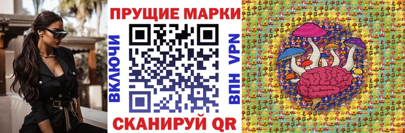 где найти   mega зеркало  Наркотические марки 1,5мг  Нерчинск 