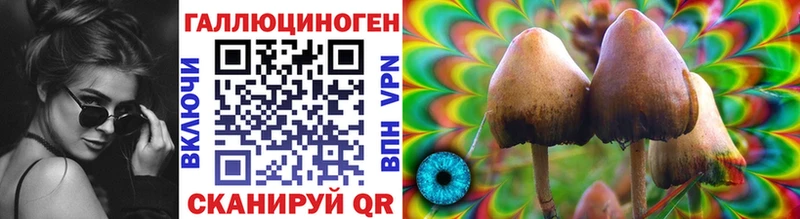 Галлюциногенные грибы Magic Shrooms  shop как зайти  Нерчинск  купить  сайты 